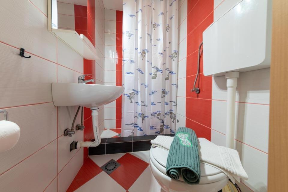 Sunny Grapes Apartments Budva Rom bilde